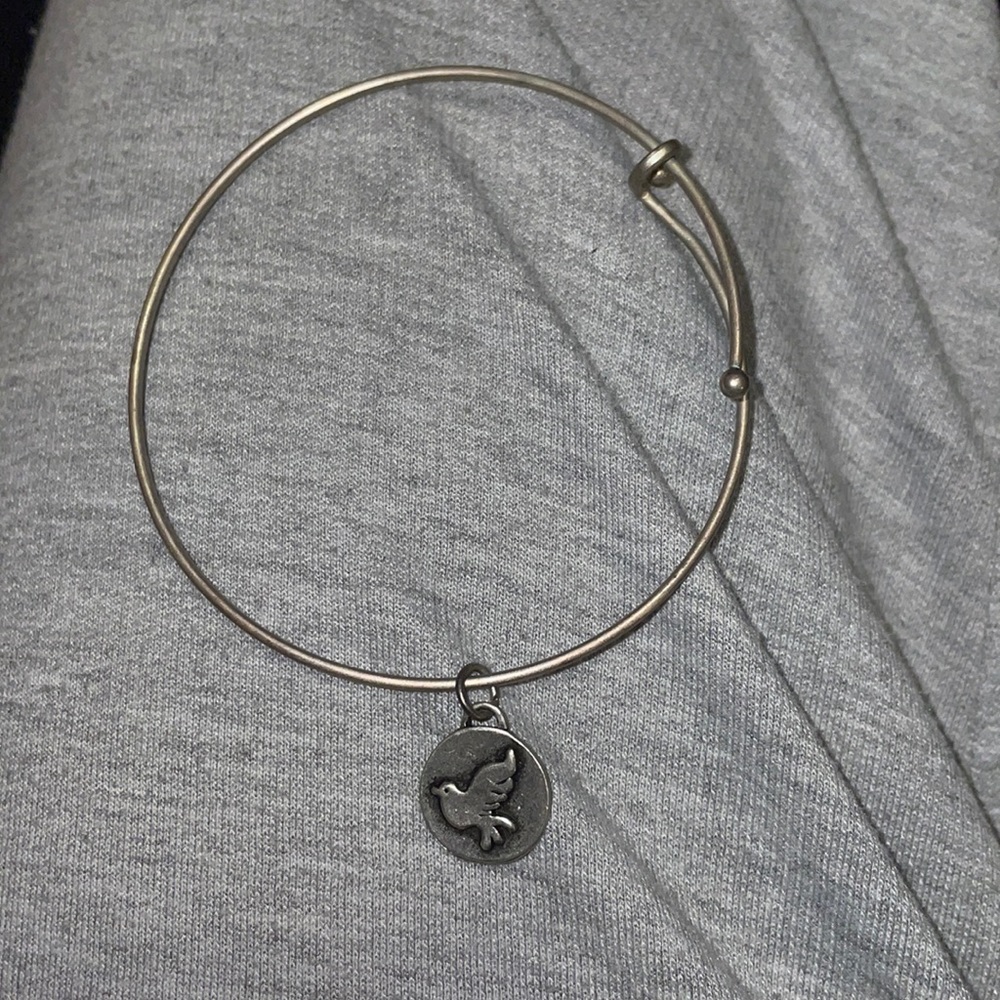 Dove charm bracelet, READY FOR MORE CHARMS!